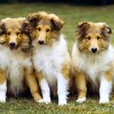 Frank Heberer - @FrankHeber31420 - Twitter