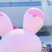 ぼー (@bokukubodesuu) 's Twitter Profile Photo ぼー (@bokukubodesuu) 's Twitter Profile Photo