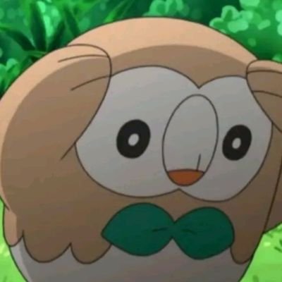 Cathal53597297's profile picture. 