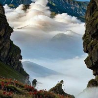 ✹𓄂دژمن می باشم✹𓄂 (@mikhtavile57) 's Twitter Profile