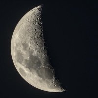 Dark Side (@darksideotn) 's Twitter Profile
