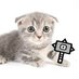 nancosan@禁足地 (@_nancosan_) Twitter profile photo nancosan@禁足地 (@_nancosan_) Twitter profile photo