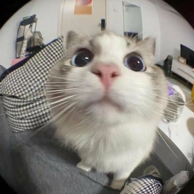 2sister97395353's profile picture. 