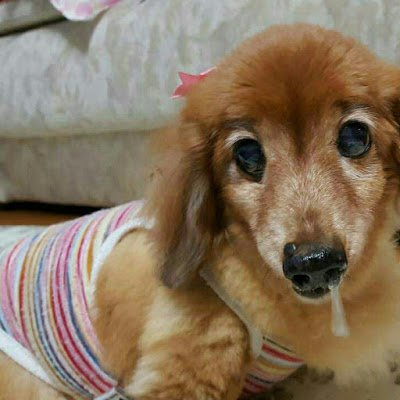 ひーちゃんページ ひーちゃん (@OvdLnFCTW166467) / Posts / X