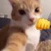 Chuburu (@squidchubb) Twitter profile photo Chuburu (@squidchubb) Twitter profile photo