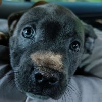 Lucan.Geekay (@lucanr6) 's Twitter Profile