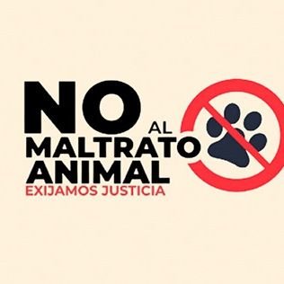 Todos los animales son símbolos de amor y bondad, los que son  crueles e indiferentes con estas criaturas no pueden ser buenas personas. Basta de Maltrato!!!