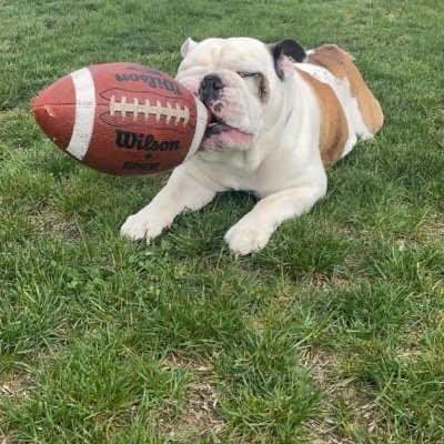 jasonmala624327's profile picture. Rutgers football 2001