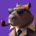 Capybara Research (@capybarashort) Twitter profile photo Capybara Research (@capybarashort) Twitter profile photo