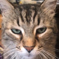 Dr. Menace (@ermengrabby) 's Twitter Profile