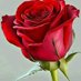 العبد الفقير (@hririowehbeh) Twitter profile photo العبد الفقير (@hririowehbeh) Twitter profile photo