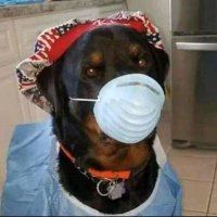 anarchist_dan (@fldan02) 's Twitter Profile