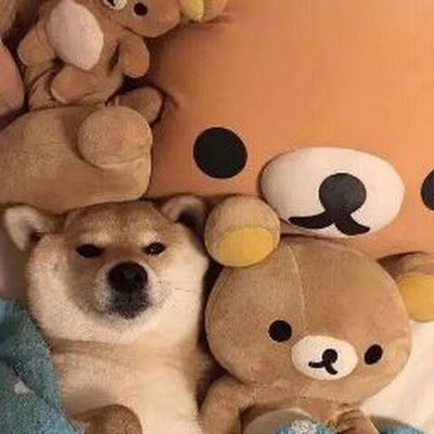 keytoy117579's profile picture. 