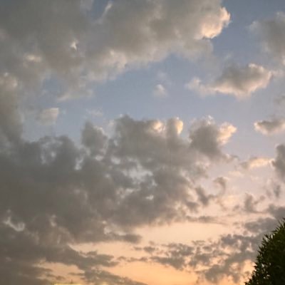 daak__i9's profile picture. KAU | "ملاك من السماء" GIS👩🏻‍💻