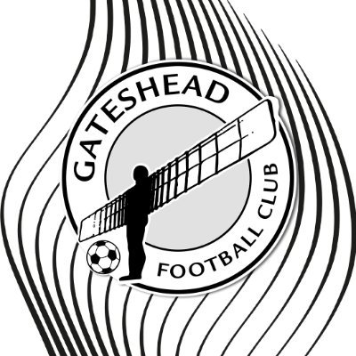 The official Twitter account of Gateshead FC Ladies. Members of the @NERWFL. #WorClub ⚪⚫