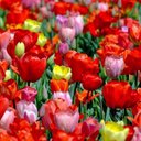 Tabitha Briggs - @BriggsTabi58525 - Twitter