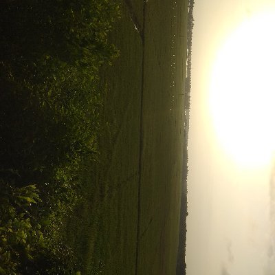 ArunKayarata's profile picture. 