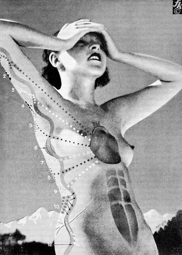 _universe25_'s profile picture. void howling as sport