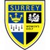 Surrey Womens Golf (@surreywomengolf) Twitter profile photo Surrey Womens Golf (@surreywomengolf) Twitter profile photo