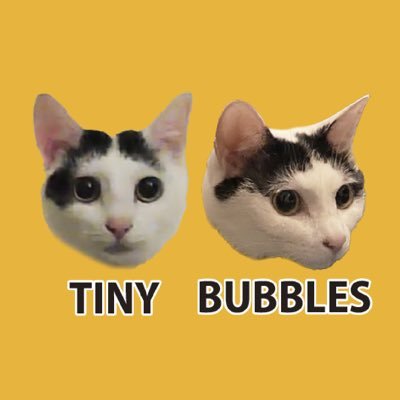 TinyBubblescat Profile Picture