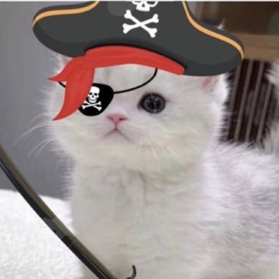pirate kitty (=^ェ^=)