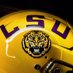 LSU Football (@LSUfootball) Twitter profile photo