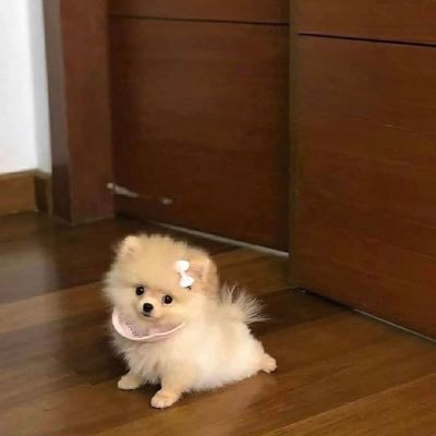 mcmllowkey's profile picture. 🐆