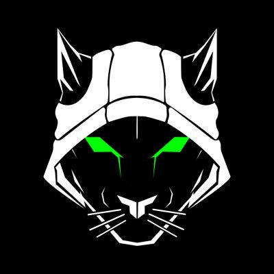 pumahat_unam's profile picture. Agrupación estudiantil de la Facultad de Ingeniería UNAM enfocada a la ciberseguridad y hacking ético.