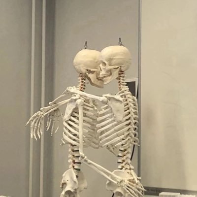 mi_alma_solea's profile picture. 🌚🦜💜⚔️alma hispanohablante~estudiante de vida✍️🇪🇸infp-t/infj-t,nature🍃sunhuman🔆ambivert¿ medic🥼melómano-pensadora… #loveyourself