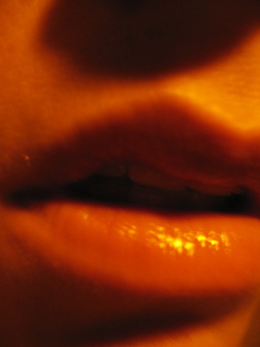 Documents on Dance (2014)