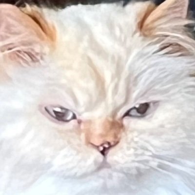 KittyCray01's profile picture. 
