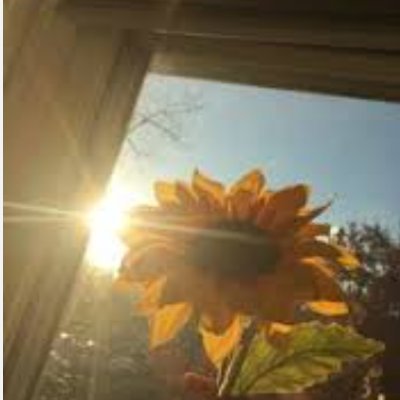 AshuA06967's profile picture. 💗