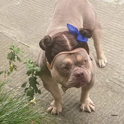 AndresH00737077's profile picture. 