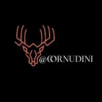 Cornudini(@cornudini) 's Twitter Profile Photo
