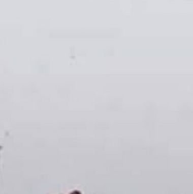 ksntw11's profile picture. 