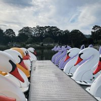 El Estero Boating(@ElEsteroBoating) 's Twitter Profile Photo