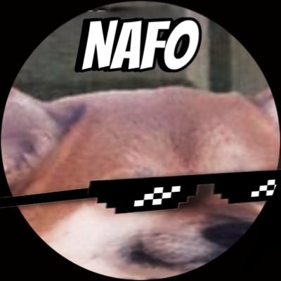 Woke AF #NAFO 📝 InfoWars enlisted🫡 🇺🇲🇺🇦