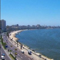 Mohamad syria (@mohamad555558) 's Twitter Profile
