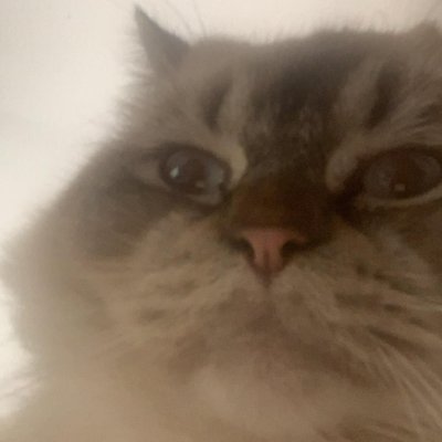 fotiember's profile picture. Engineer steelers fan 
#herewego