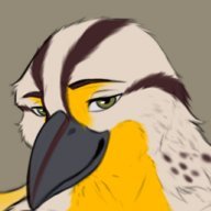 Western Meadowlark | 21 | gay | he/him | uni student | feel free to poke! |🔞| NSFW | pfp: @Wolfs_Niper
Discord: gembirb
telegram: @GemBirb
@gembirb.bsky.soc