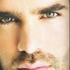 garod2204's profile picture. Pro Law Enforcement & Military. Proud American who loves to travel & see this beautiful country I served. 100% Trump. Covfefe. MAGA! KAG!