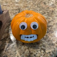 SG (@antitheistdad) 's Twitter Profile Photo