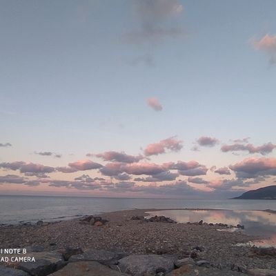 ayseglbsrn_____'s profile picture. 