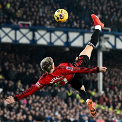 mustafa71835622's profile picture. #StopHazaraGenocide is my dream🌲