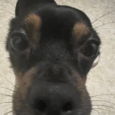 Azigy_'s profile picture. 20 | Youtube: Azigy | Twitch: azigy_ | Instagram: azigy_