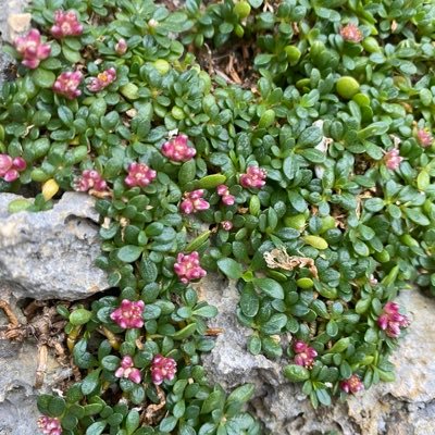 szszsz_252525's profile picture. ハワイ好き/アラサーOL/都内在住/留学経験アリ