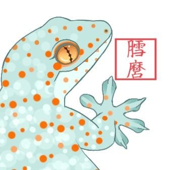 生き物が好き 猫とヤモリ飼ってます 絵の練習中 https://t.co/w65zLZBk5K