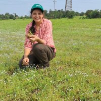 Vaijayanti Tamhane (@tamhanevaiju) 's Twitter Profile Photo Vaijayanti Tamhane (@tamhanevaiju) 's Twitter Profile Photo