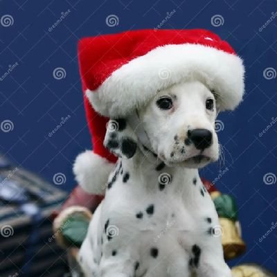 Lexximagic's profile picture. Democrat & Political Junkie. Love dogs. Opinions are my own.  Truth Seeker  #BLM  #JusticeMatters 💙🚫MAGA🚫DM's🚫Dating🚫Bitcoin