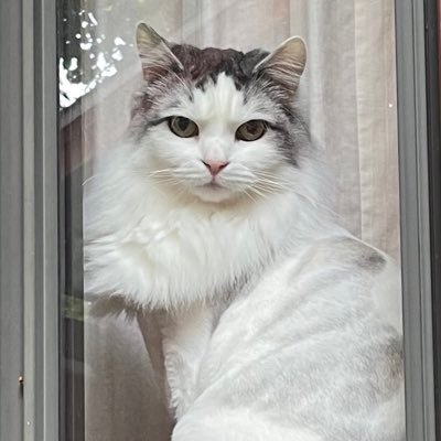 _littlemisslex's profile picture. 